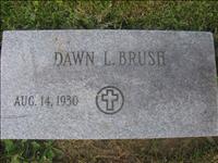 Brush, Dawn L